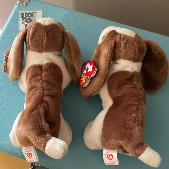 Ty Tracker * Beanie Baby * Date of Birth: June 5, 1997 * Basset Hound - Picture 12 of 13